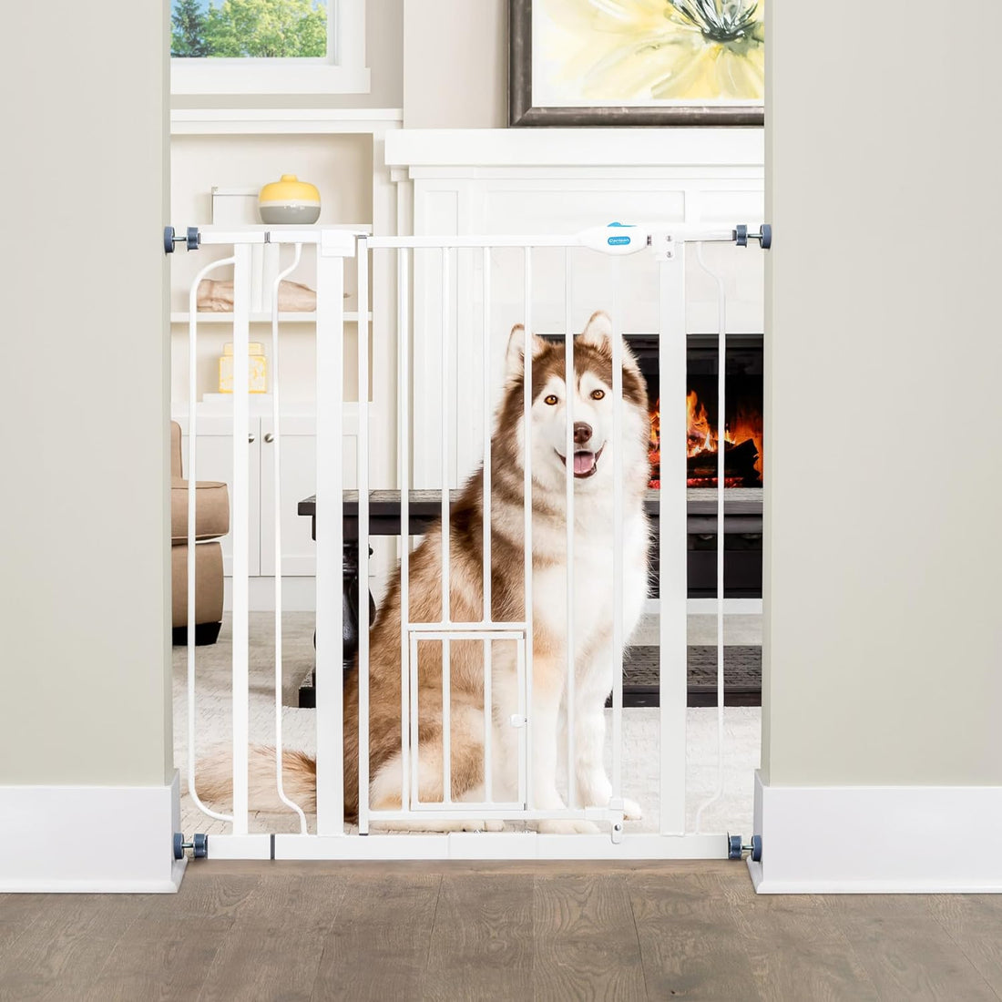 The Best Dog Gates on Amazon Canada: A Comprehensive Guide