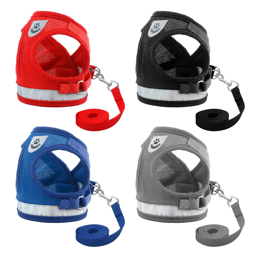 Cat's Reflective Harnesses And Leashes