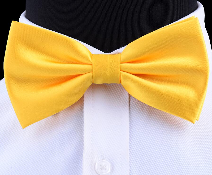 Men's Silk Bow Tie