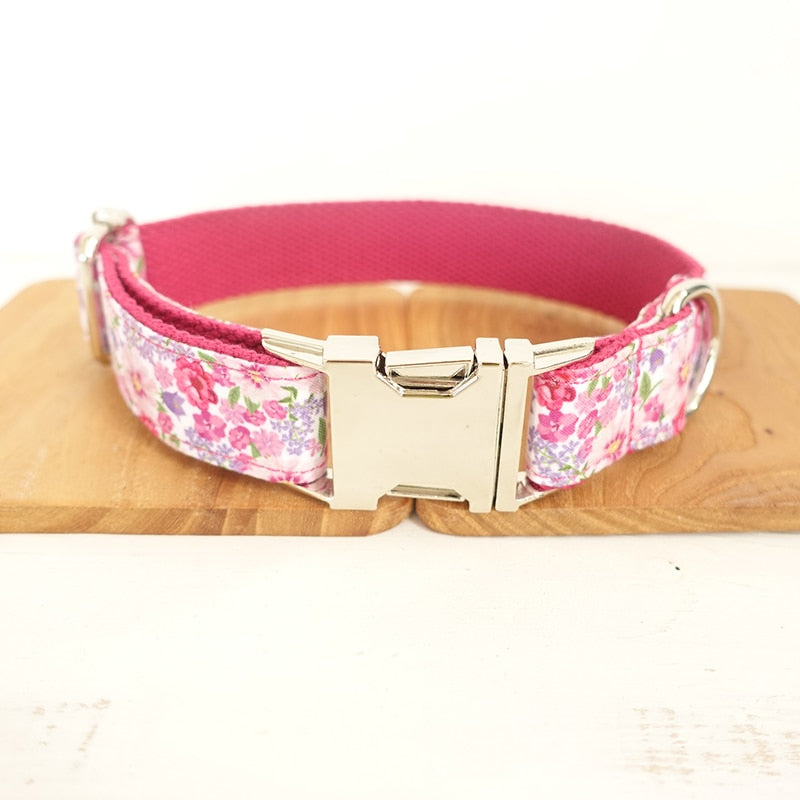 Colorful Dog Collar and Leash Sets