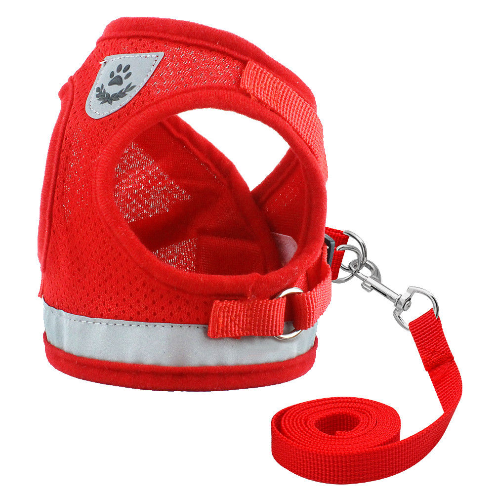 Cat's Reflective Harnesses And Leashes