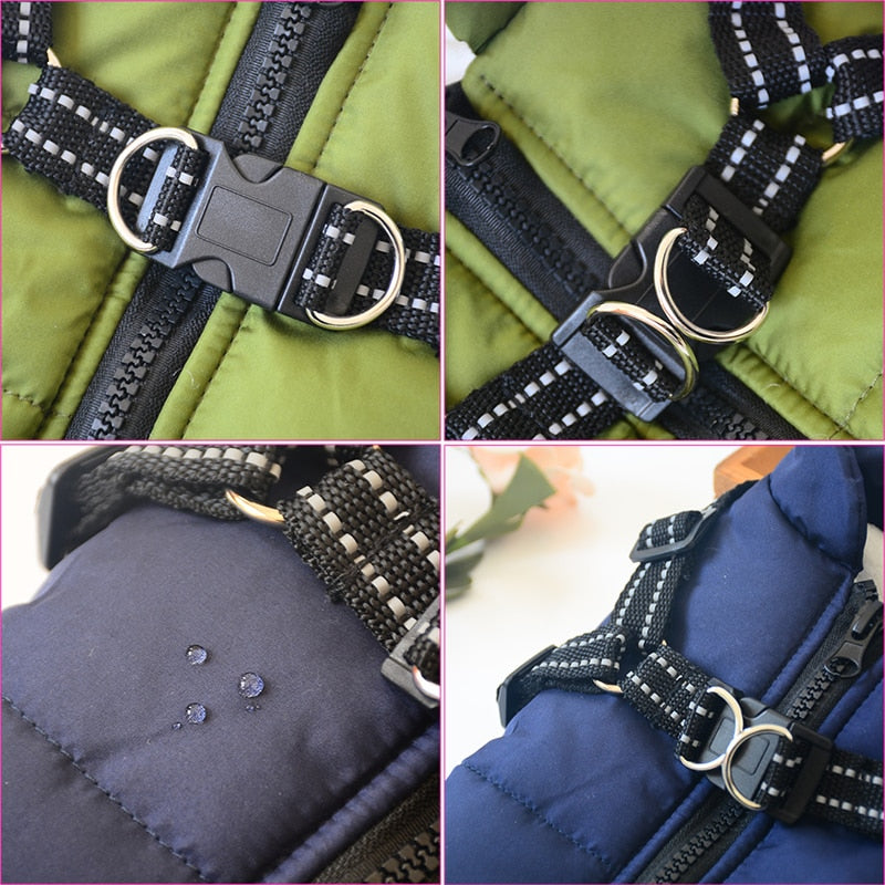 Dogs Jacket with Harness