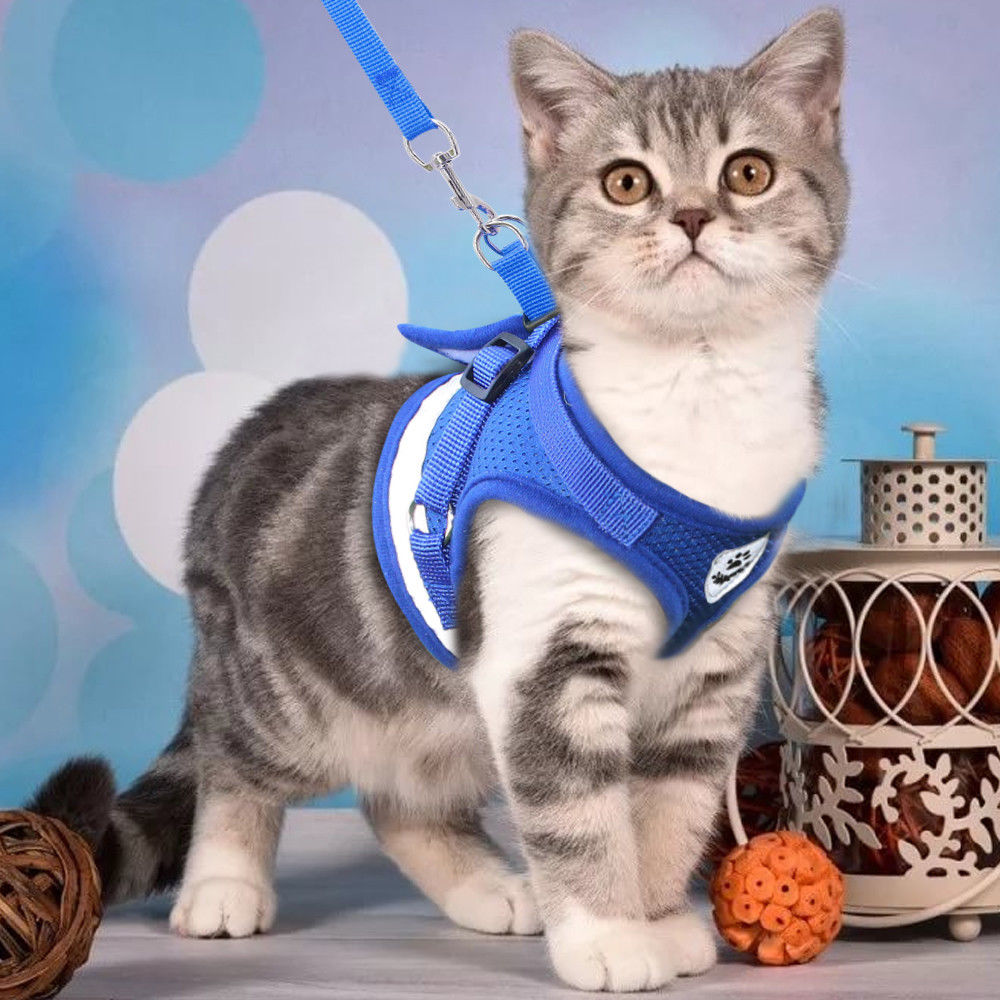 Cat's Reflective Harnesses And Leashes