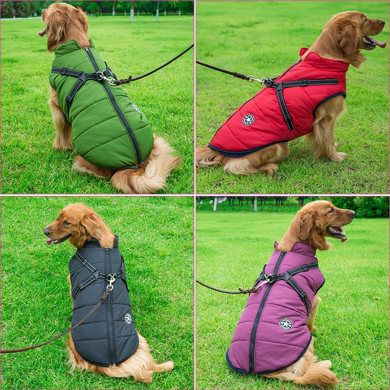 Dogs Jacket with Harness