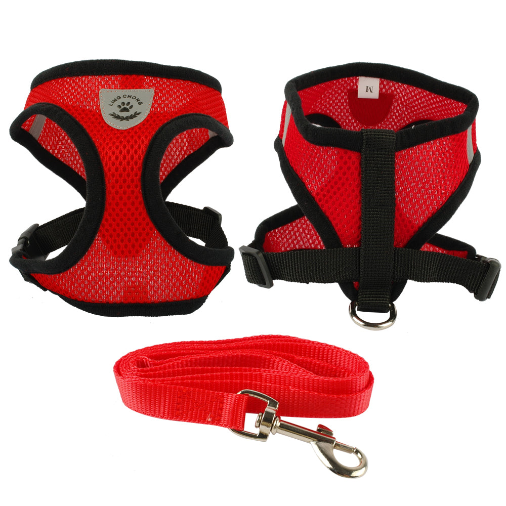 Breathable Small Dog & Puppy Harness & Leash