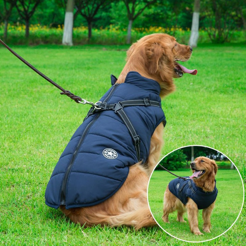 Dogs Jacket with Harness