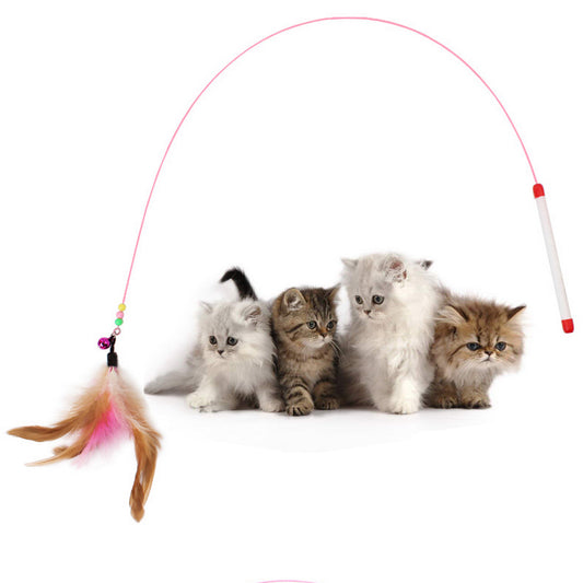 Cat's Colorful Feather Toy