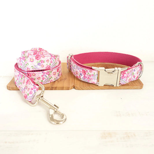 Colorful Dog Collar and Leash Sets