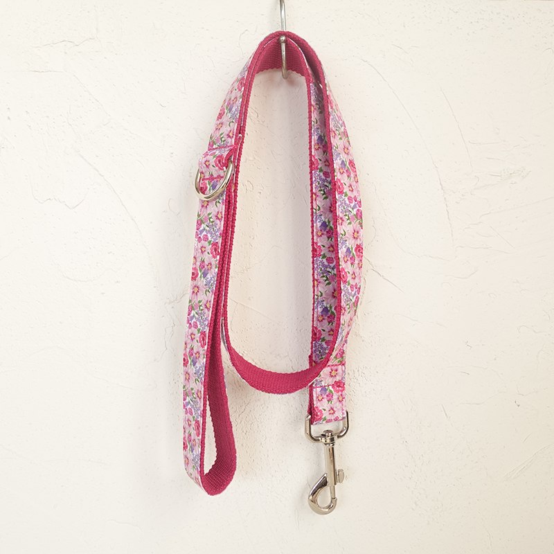 Colorful Dog Collar and Leash Sets