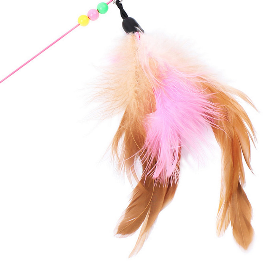 Cat's Colorful Feather Toy