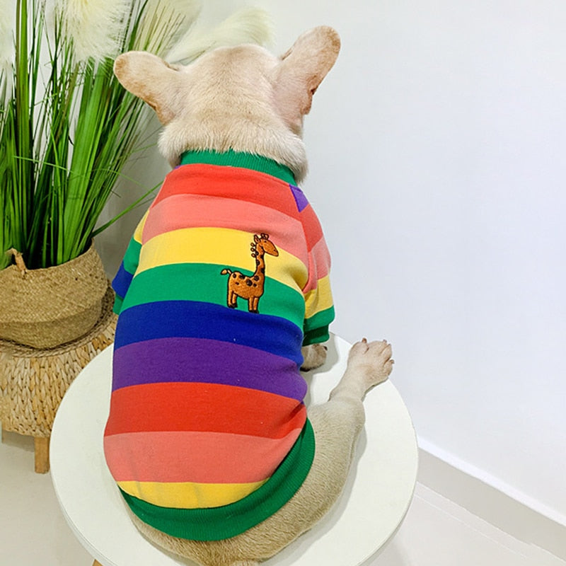 Warm Colorful Striped Owner and Pet Matching Shirt Set