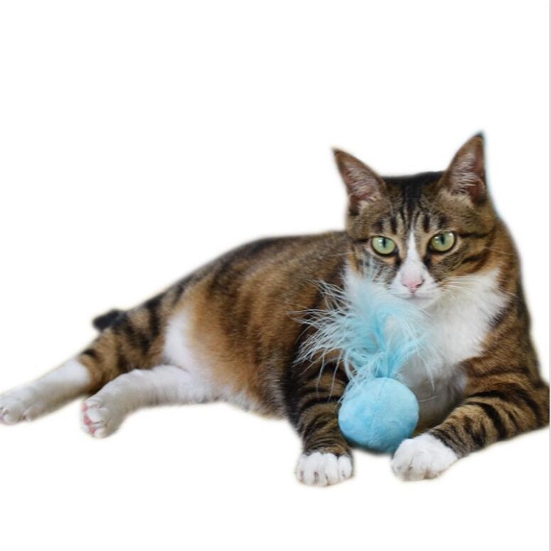 Cat's Teaser Ball with Sound Effects